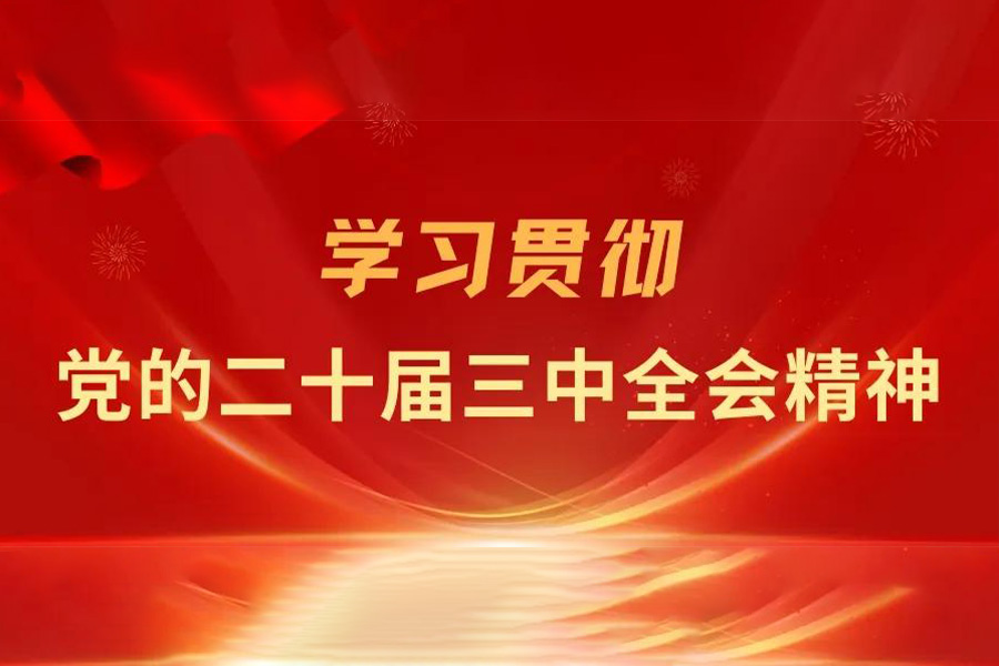 深化教育综合改革（学习贯彻党的二十届三中全会精神）